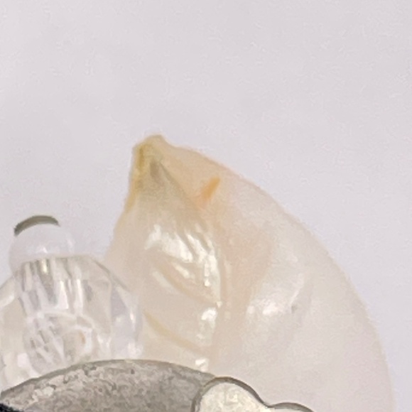 Germany Signed Vintage Lucite Lightweight Pearl Color Clip-on Earrings - Picture 8 of 10